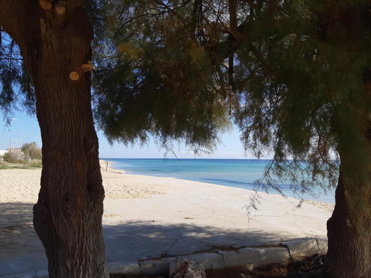 Le Case Di Pat - Palms Home San Pietro in Bevagna Bagian luar foto